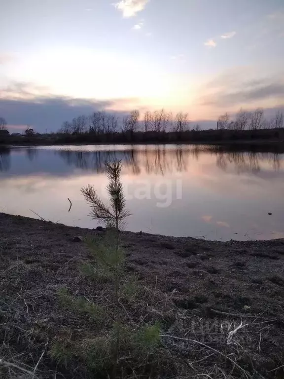 Участок в Омская область, Омский район, Магистральное с/пос, с. ... - Фото 1