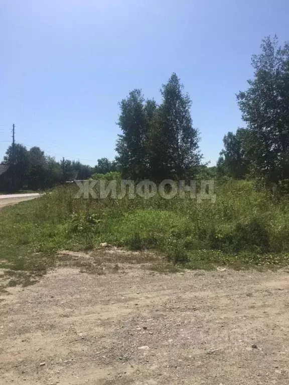 Участок в Новосибирская область, Искитимский район, Быстровский ... - Фото 0
