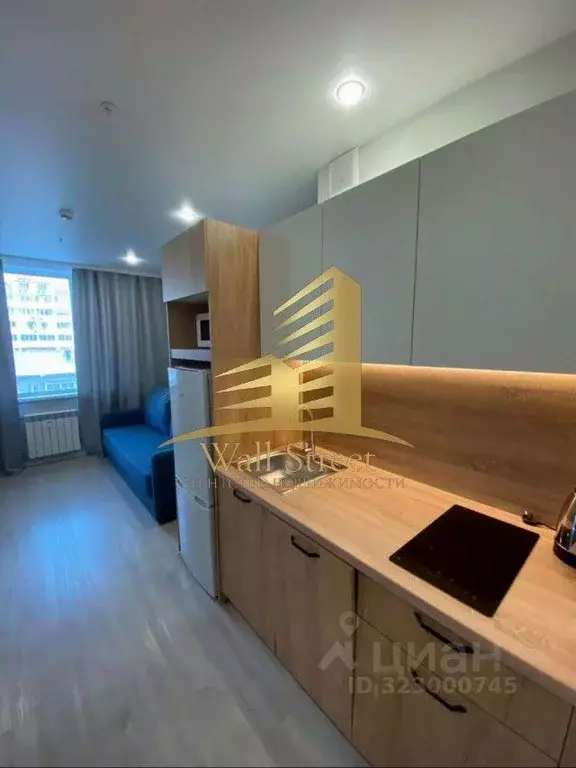 1-к кв. Новосибирская область, Новосибирск ул. Кирова, 113/2 (32.0 м) - Фото 1