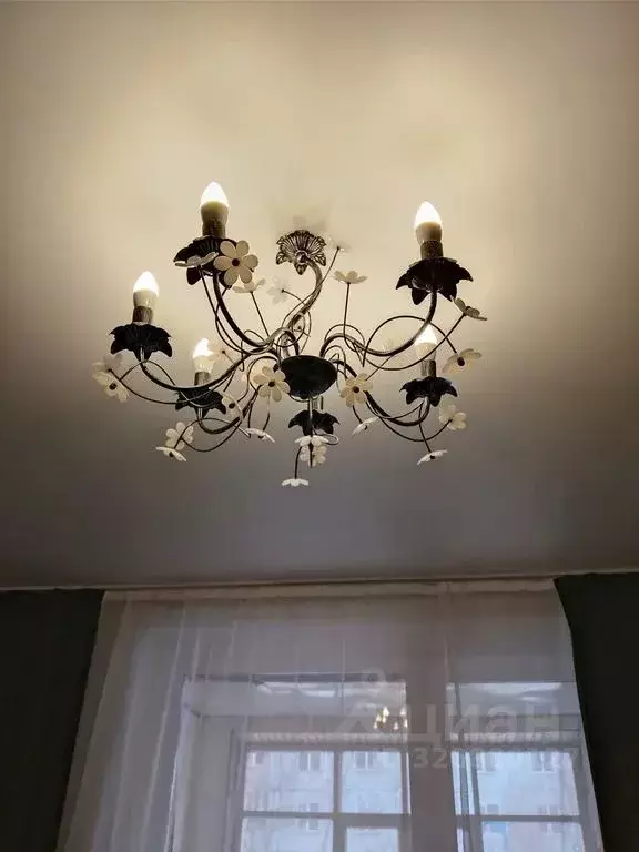 Студия Хакасия, Абакан Трудовая ул., 73 (20.0 м) - Фото 2