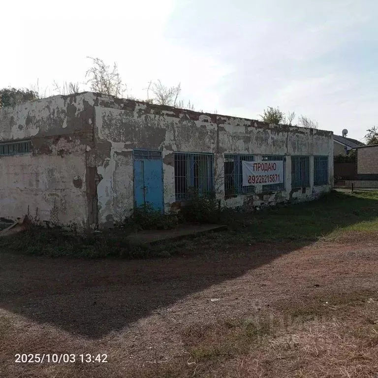 Помещение свободного назначения в Оренбургская область, Оренбургский ... - Фото 1