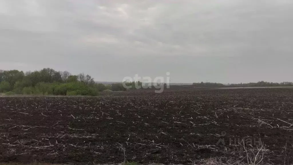 Участок в Белгородская область, Белгородский район, Дубовское с/пос, ... - Фото 1