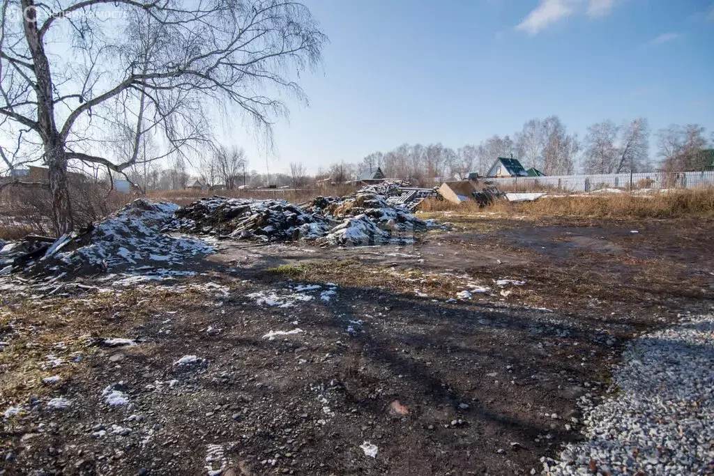 Участок в Бердск, СНТ Марьин Лог, 36-я улица (6 м) - Фото 1