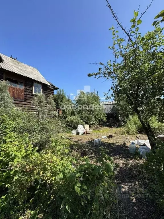 Участок в Свердловская область, Верхнее Дуброво пгт ул. Карла Маркса, ... - Фото 2