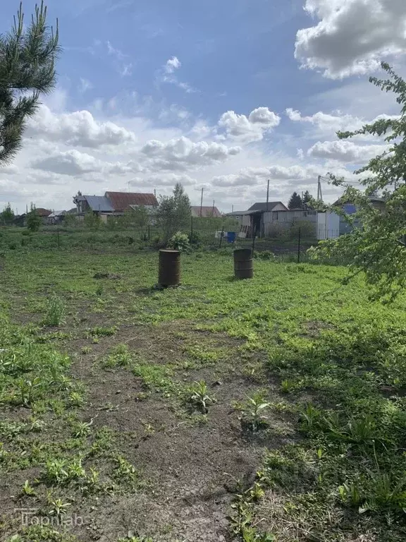 Участок в Алтайский край, Павловский район, с. Шахи Новая ул., 14 ... - Фото 1