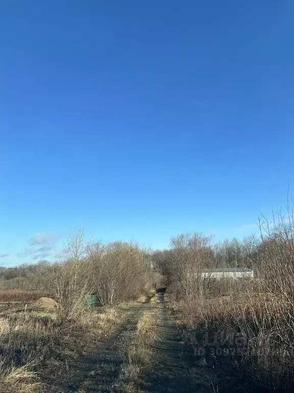 Участок в Хабаровский край, Хабаровский район, с. Краснореченское, ... - Фото 0