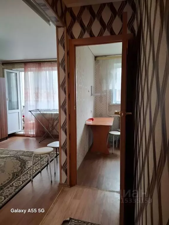 1-к кв. Саратовская область, Энгельс 2-й мкр, 23 (30.0 м) - Фото 0
