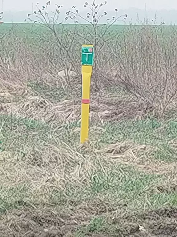 Участок в Ленинградская область, Гатчинский муниципальный округ, д. ... - Фото 2