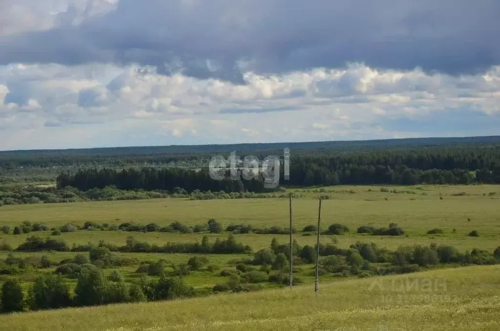Участок в Коми, Сыктывдинский район, Палевицы муниципальное ... - Фото 1