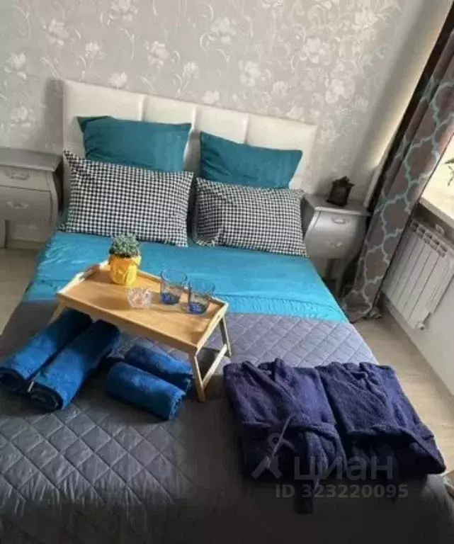 1-к кв. Московская область, Пушкино ул. Просвещения, 11к1 (30.0 м) - Фото 1