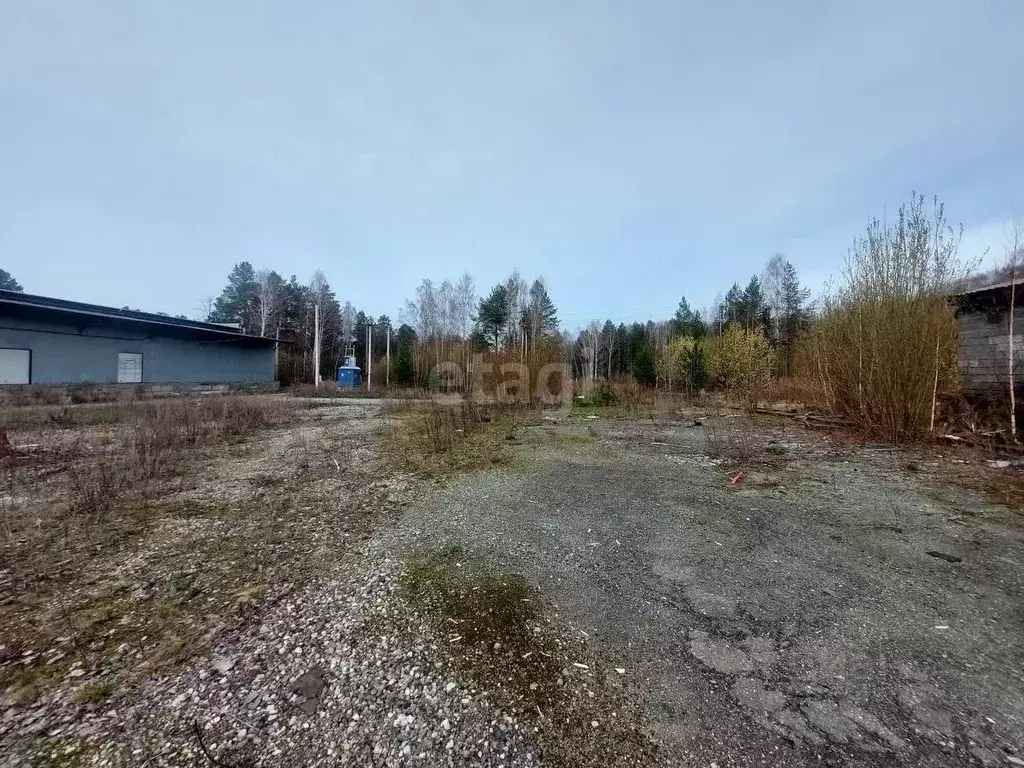 Участок в Свердловская область, Горноуральский муниципальный округ, ... - Фото 1