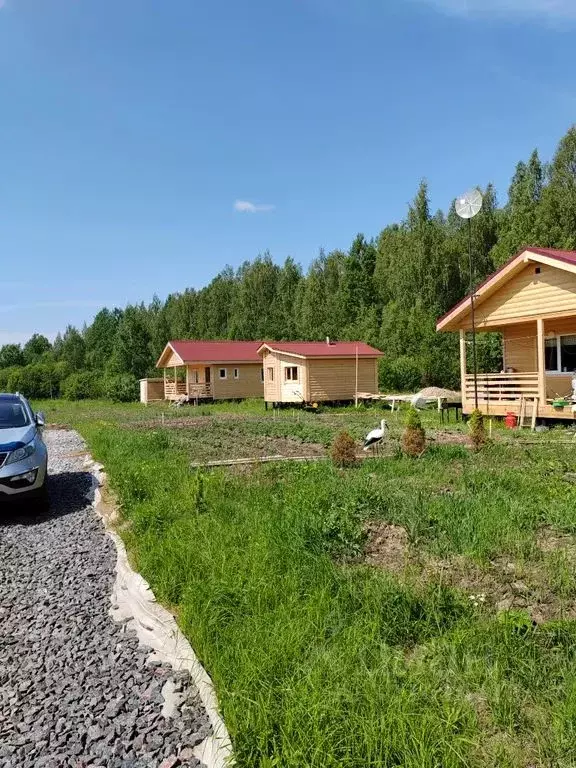 Дом в Новгородская область, Чудово  (50 м) - Фото 1