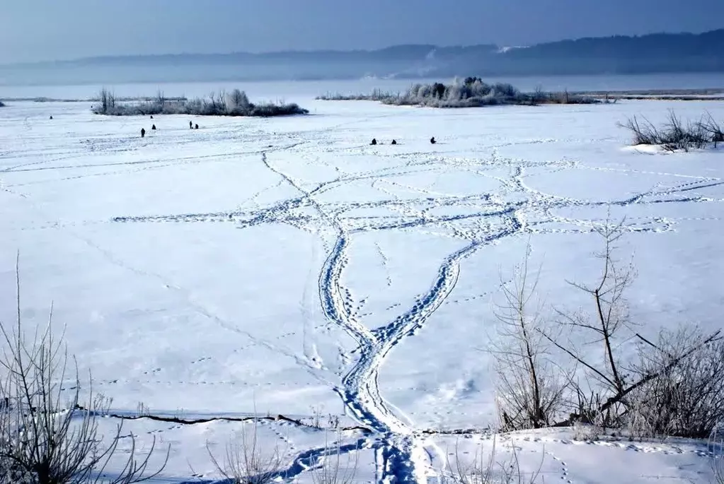 Участок в Татарстан, Елабуга  (900.01 сот.) - Фото 1