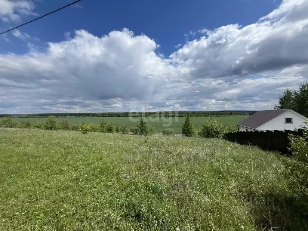 Участок в Воронежская область, Рамонский район, с. Русская Гвоздевка ... - Фото 0