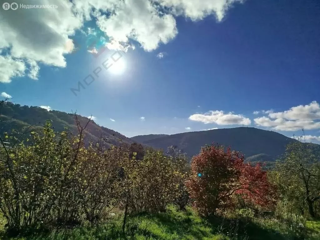 Участок в село Красная Воля, улица Володи Ульянова (8 м) - Фото 2