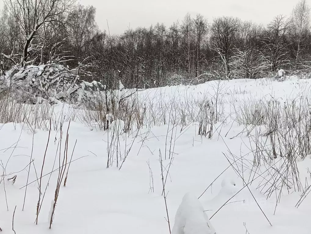 Участок в Московская область, Клин городской округ, д. Парфенькино  ... - Фото 2