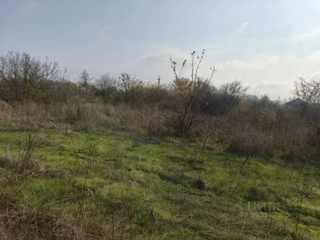 Участок в Краснодарский край, Северский район, Афипское городское ... - Фото 1