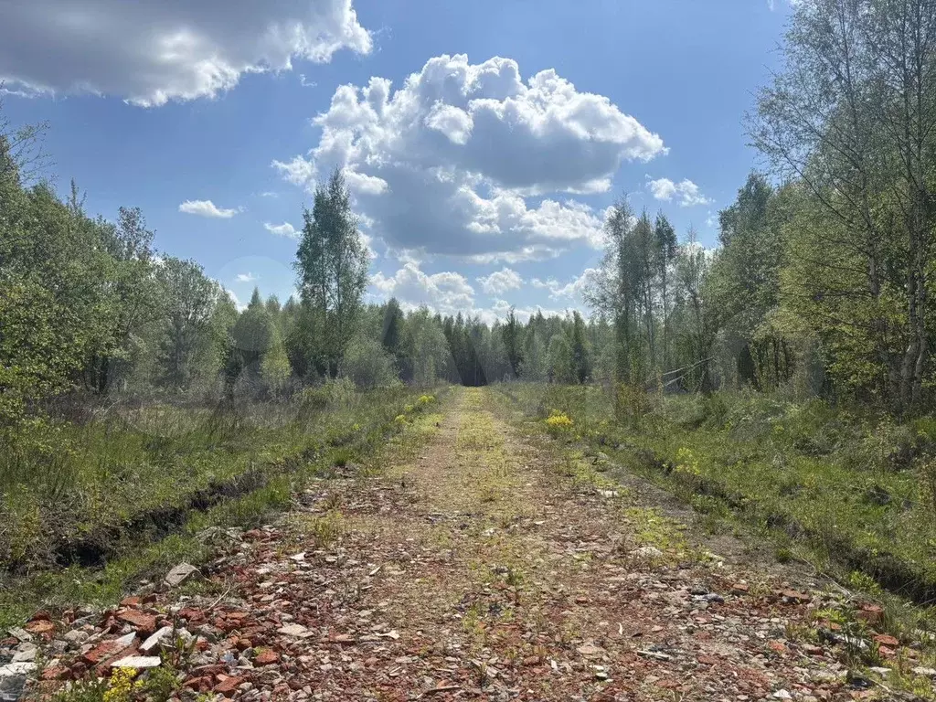 Участок 6 сот. (СНТ, ДНП) - Фото 1