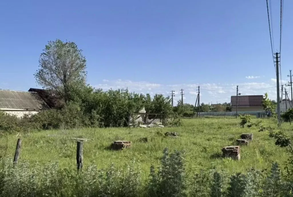 Участок в Саратовская область, Воскресенский район, Елшанское ... - Фото 1