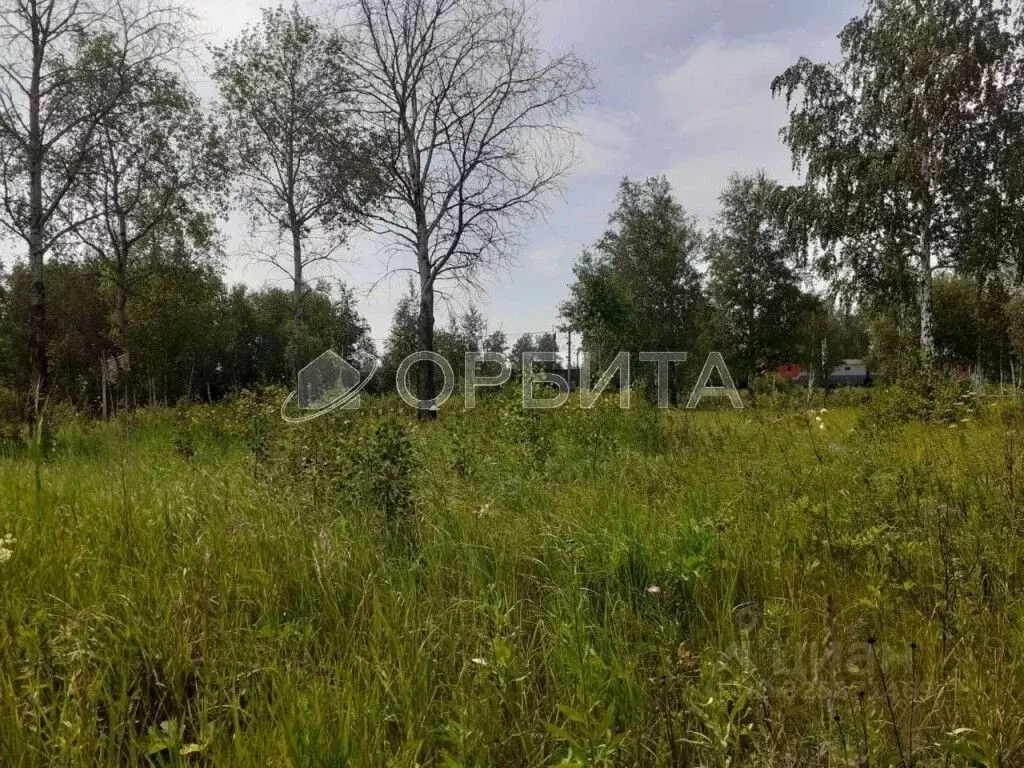 Участок в Тюменская область, Нижнетавдинский муниципальный округ, ... - Фото 2