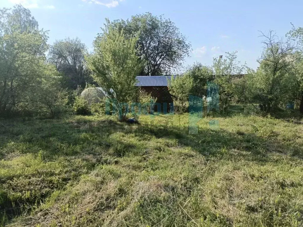 Участок в Нижегородская область, Нижний Новгород Дружба ГСМТ СНТ,  ... - Фото 2