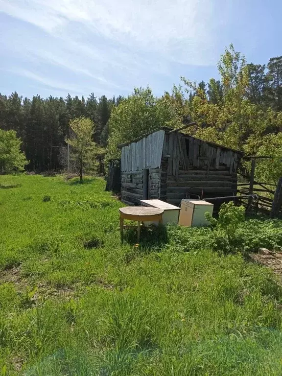 Участок в Новосибирская область, Ордынский район, д. Абрашино ... - Фото 0