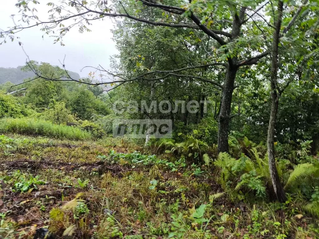 Участок в Приморский край, Артем Бонитет СТСН, 76 (10.0 сот.) - Фото 2