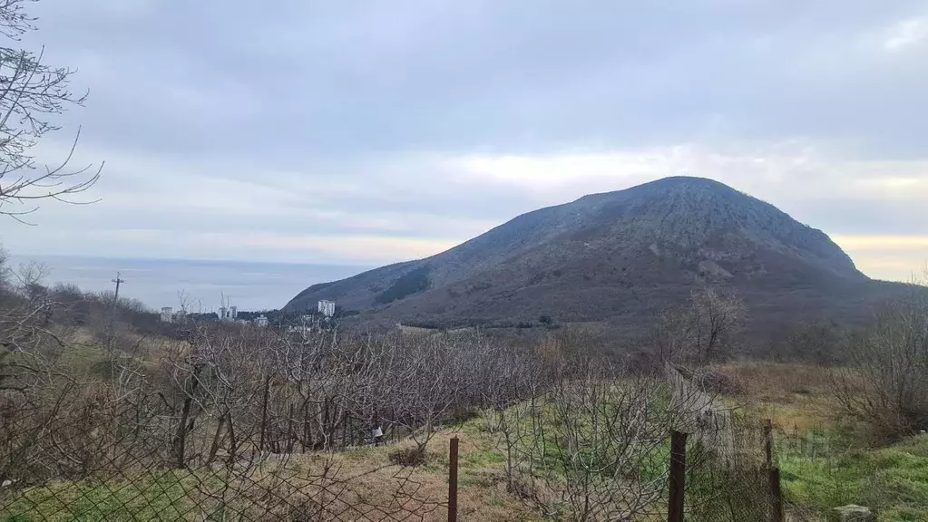 Участок в Крым, Алушта городской округ, с. Лавровое ул. Табачная, 10 ... - Фото 1