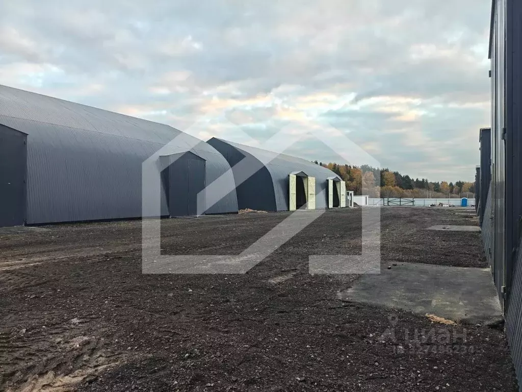 Производственное помещение в Московская область, Балашиха городской ... - Фото 1