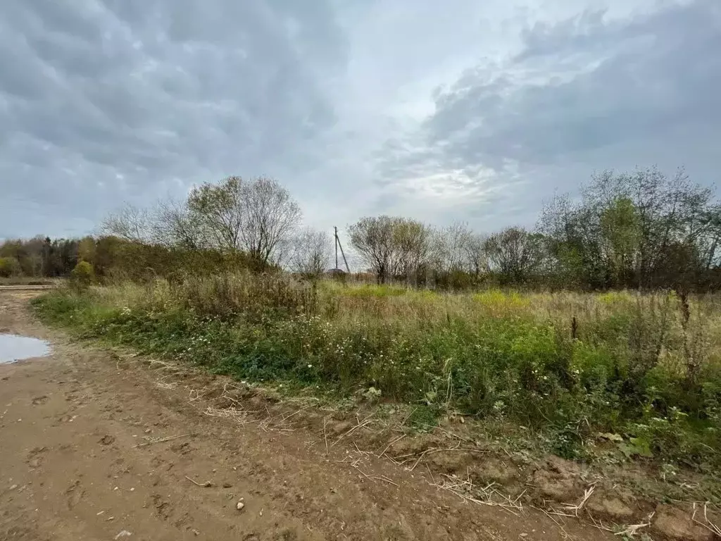 Участок в Вологодская область, с. Погорелово ул. Центральная (20.69 ... - Фото 0