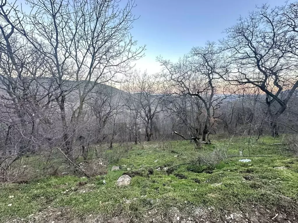 Участок 9,5 сот. (ИЖС) - Фото 1