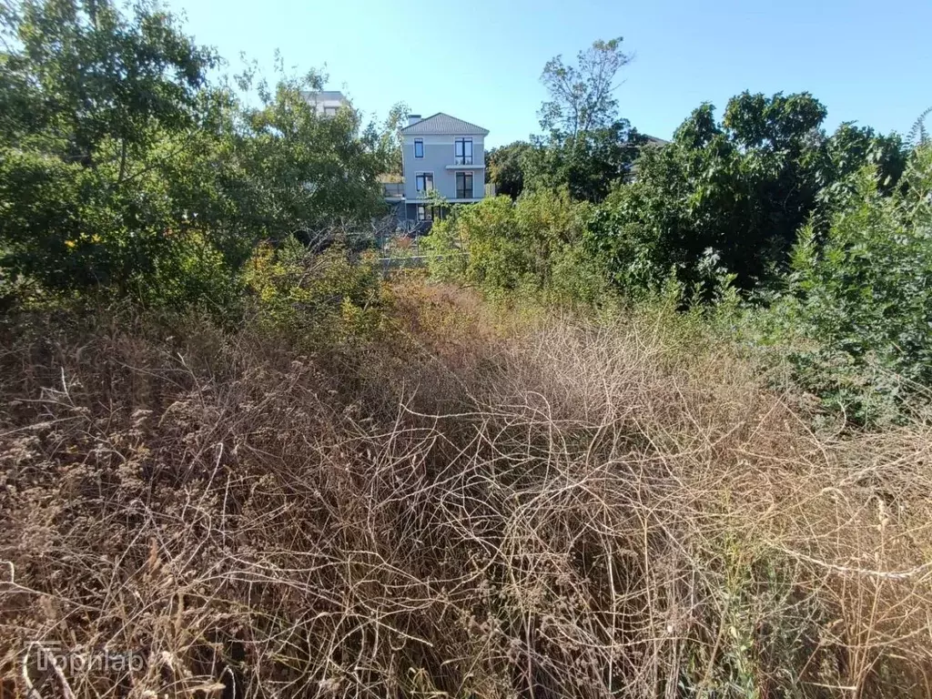 Участок в Краснодарский край, Геленджик Ветеран СНТ, ул. Совхозная, 40 ... - Фото 1