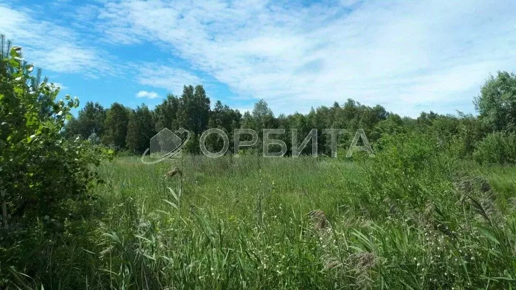 Участок в Тюменская область, Тюменский район, д. Якуши  (6.0 сот.) - Фото 0