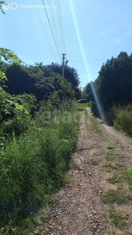 Участок в Ольховка, Соколинская улица (21 м) - Фото 2