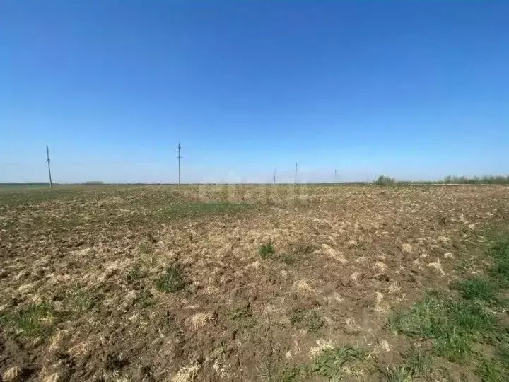 Участок в Краснодарский край, Ейск  (6.0 сот.) - Фото 2