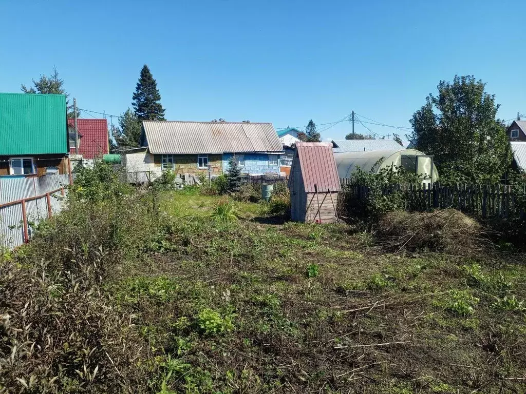 Участок в Новосибирская область, Новосибирск Трудовые резервы садовое ... - Фото 1