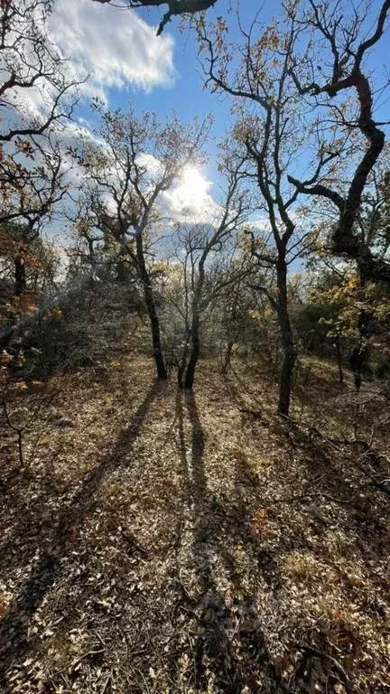 Участок в Севастополь Севастопольская зона ЮБК кв-л, 2Б/5 (4.0 сот.) - Фото 2