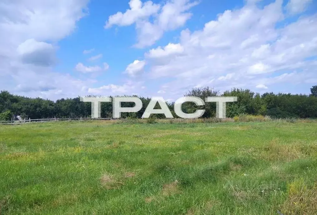 Участок в Воронежская область, Рамонский район, с. Ступино Октябрьская ... - Фото 1