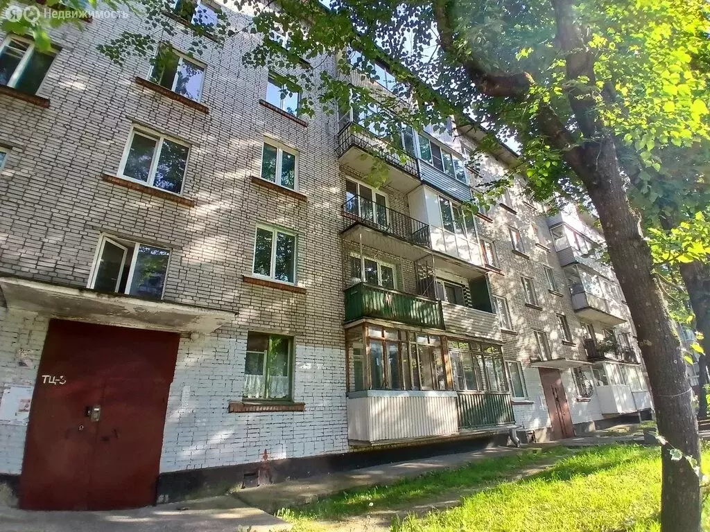 1-комнатная квартира: Красное Село, Кингисеппское шоссе, 10к2 (29 м) - Фото 1
