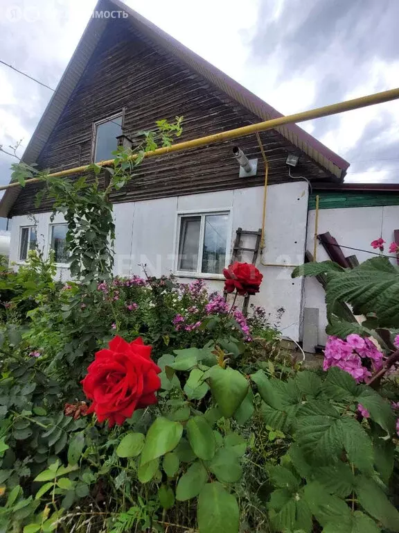 Дом в Первомайский район, село Берёзовка (81.8 м) - Фото 2