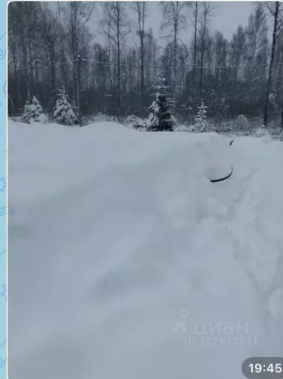 Участок в Ленинградская область, Выборг ул. Сосновый Бор (12.0 сот.) - Фото 1