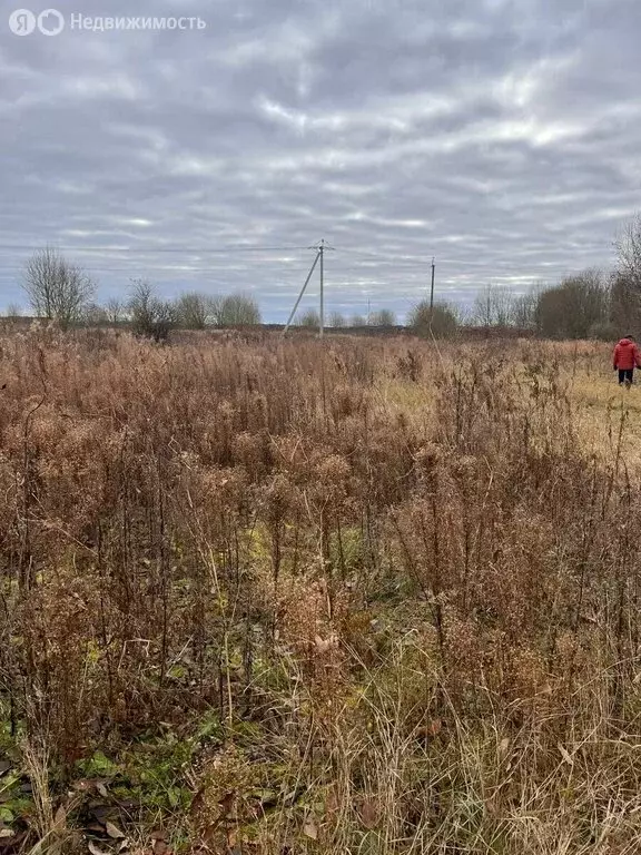 Участок в Ленинградская область, Гатчинский муниципальный округ, ... - Фото 1