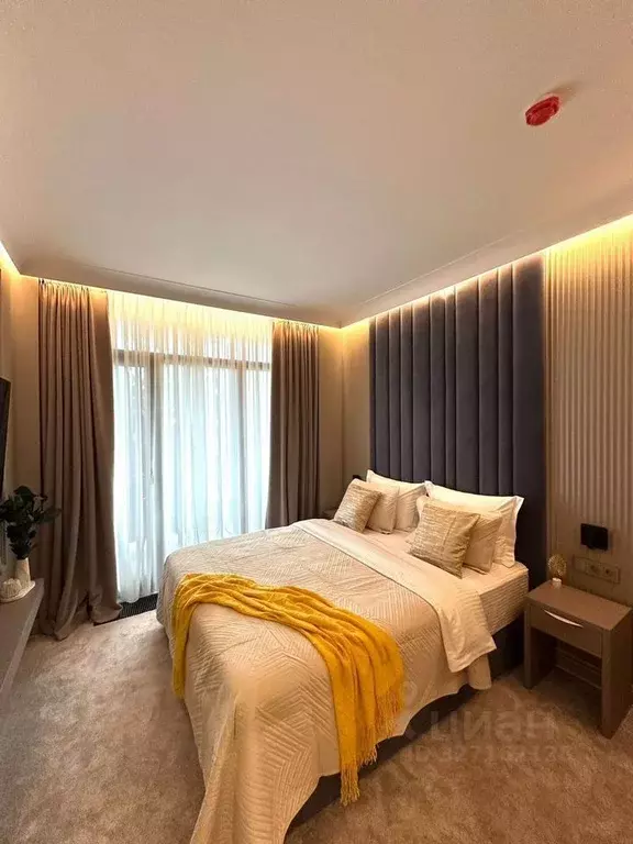 1-к кв. Краснодарский край, Сочи ул. Ленина, 217а (26.2 м) - Фото 1