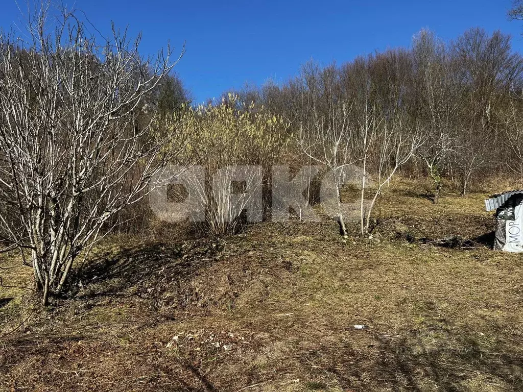 Участок в Краснодарский край, Сочи городской округ, с. Илларионовка  ... - Фото 1