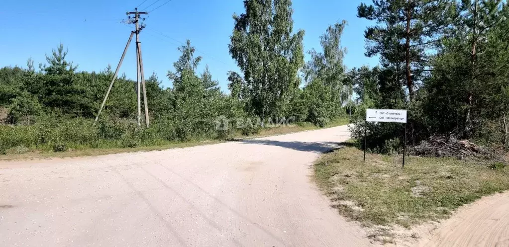 Участок в Владимирская область, Суздальский район, Селецкое ... - Фото 1
