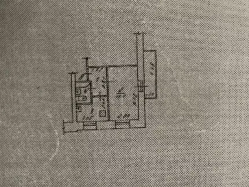 1-к кв. Пермский край, Пермский муниципальный округ, с. Лобаново ул. ... - Фото 2