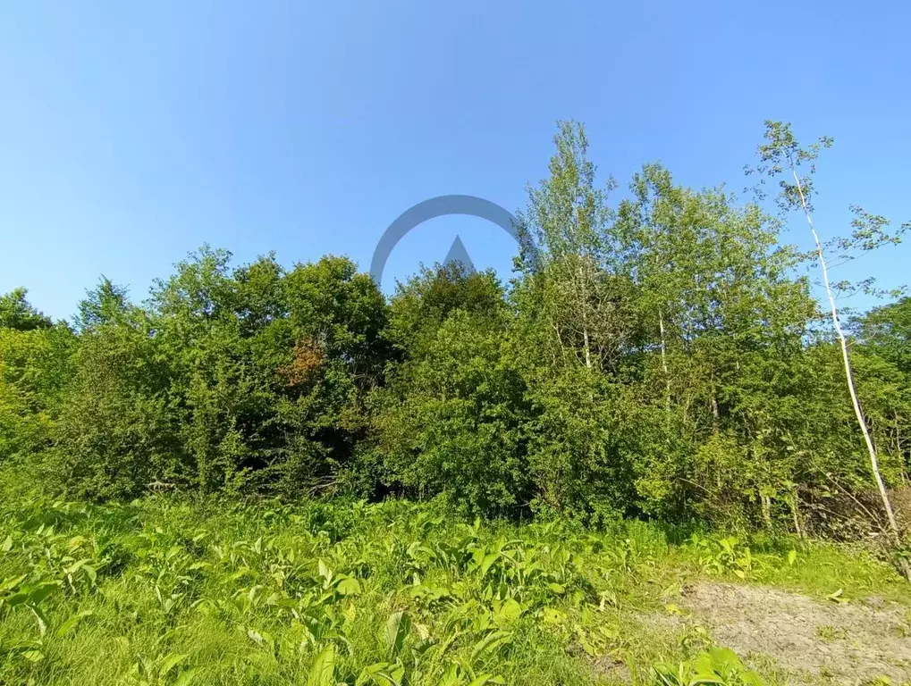 Участок в Краснодарский край, Хадыженск Апшеронский район, Самарская ... - Фото 1