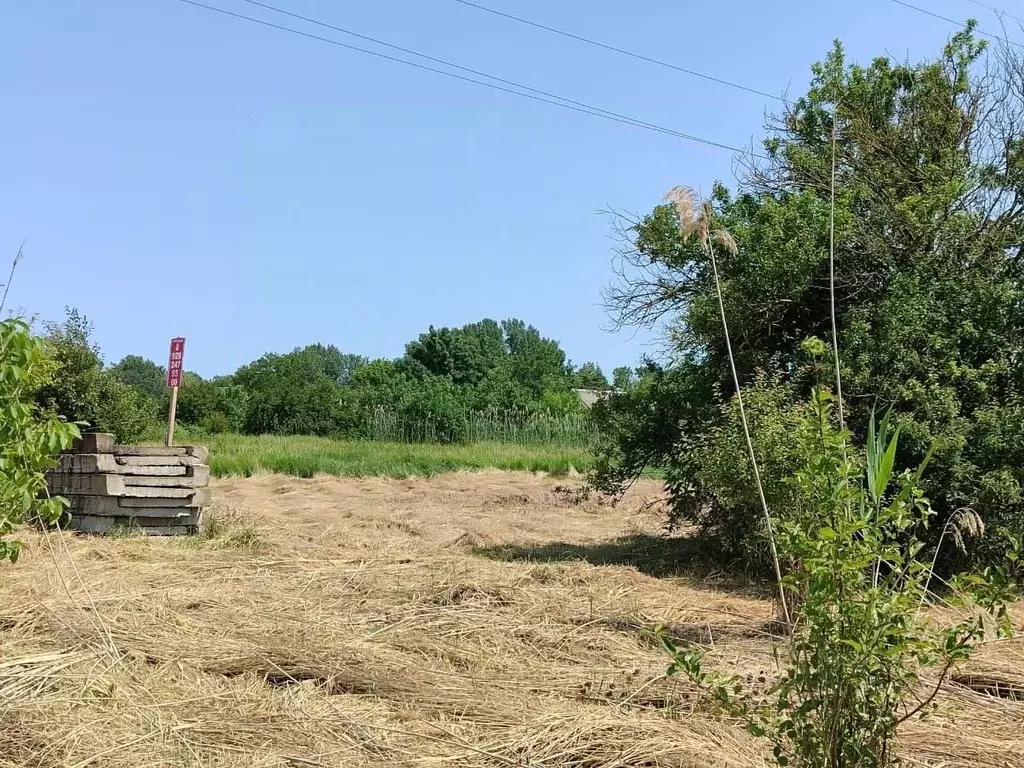 Участок в Краснодарский край, Темрюк Левобережная ул., 45 (12.5 сот.) - Фото 2