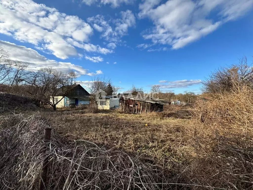Дом в Узловский район, сельское поселение Каменецкое, посёлок ... - Фото 2