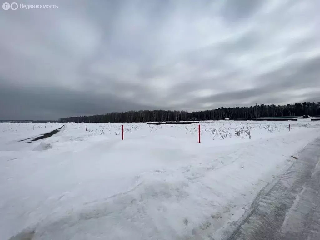 Участок в Московская область, городской округ Домодедово, деревня . - Фото 1